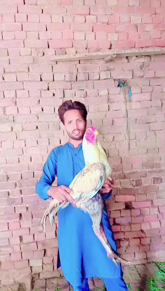 @Dilshad=barand#