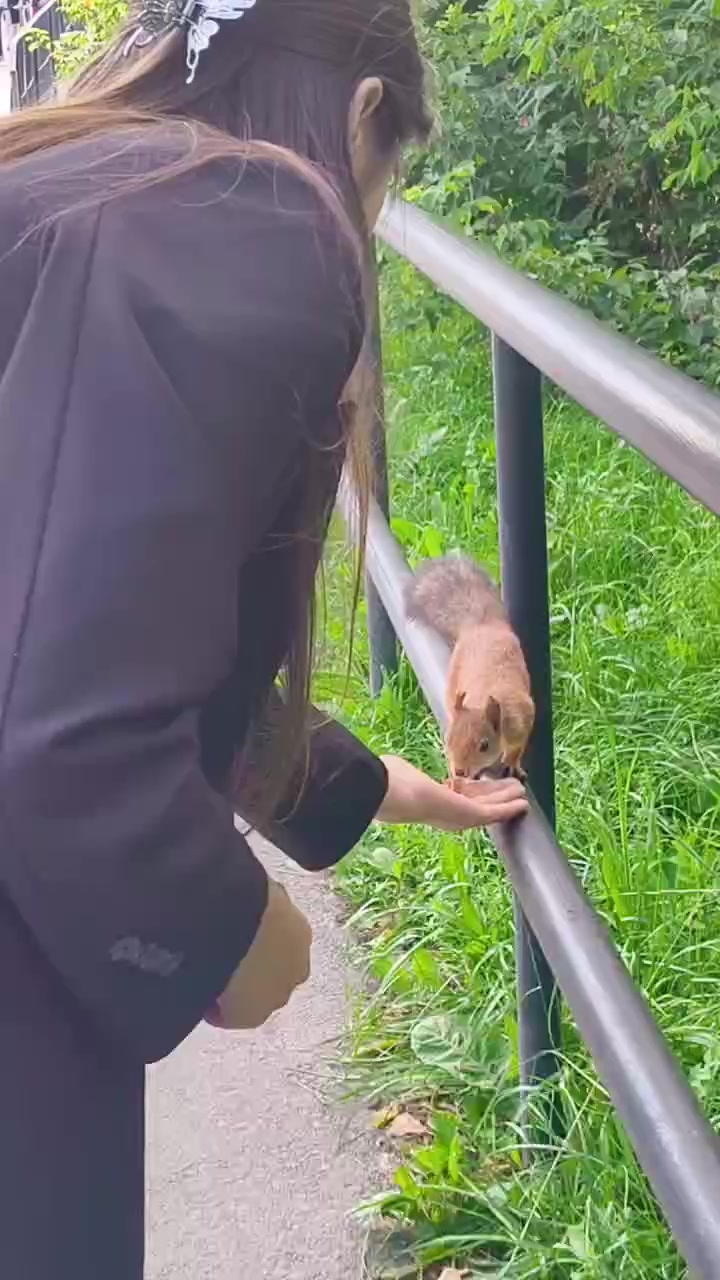 @Лиана🍃