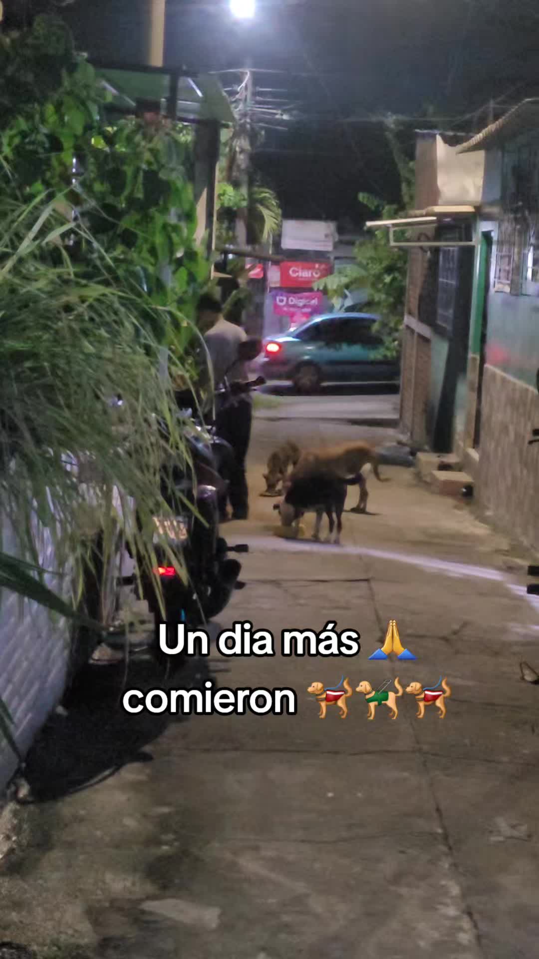@𝕃𝕚𝕤𝕤 ℝ𝕖yes🇸🇻
