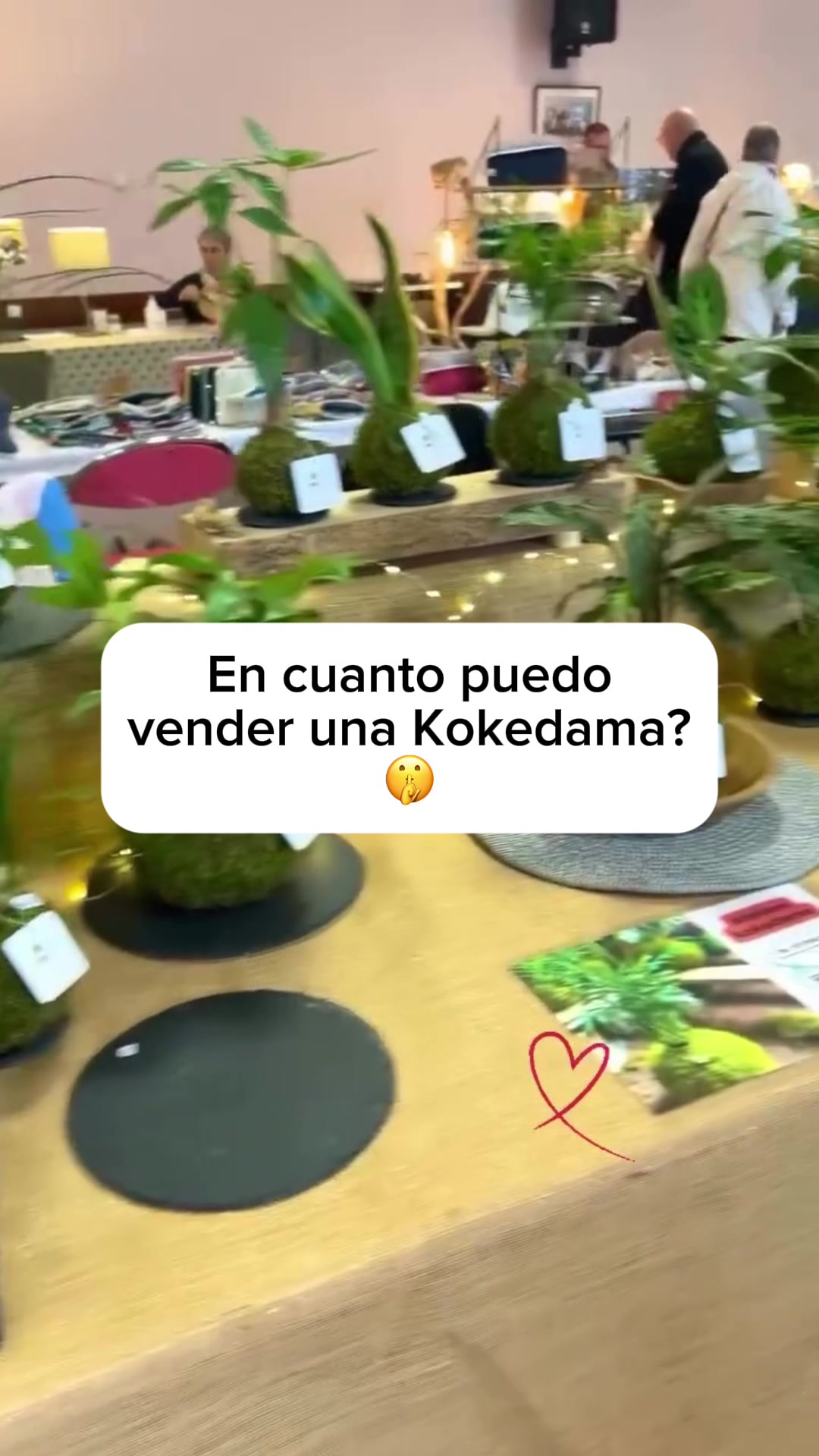 @Escuela de Kokedamas✅