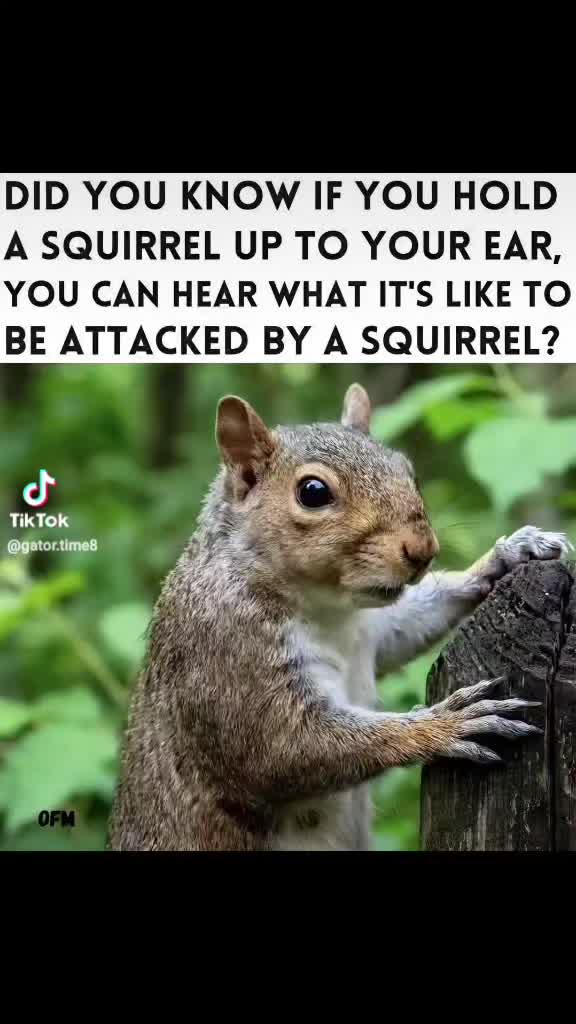@Trent 🇺🇲