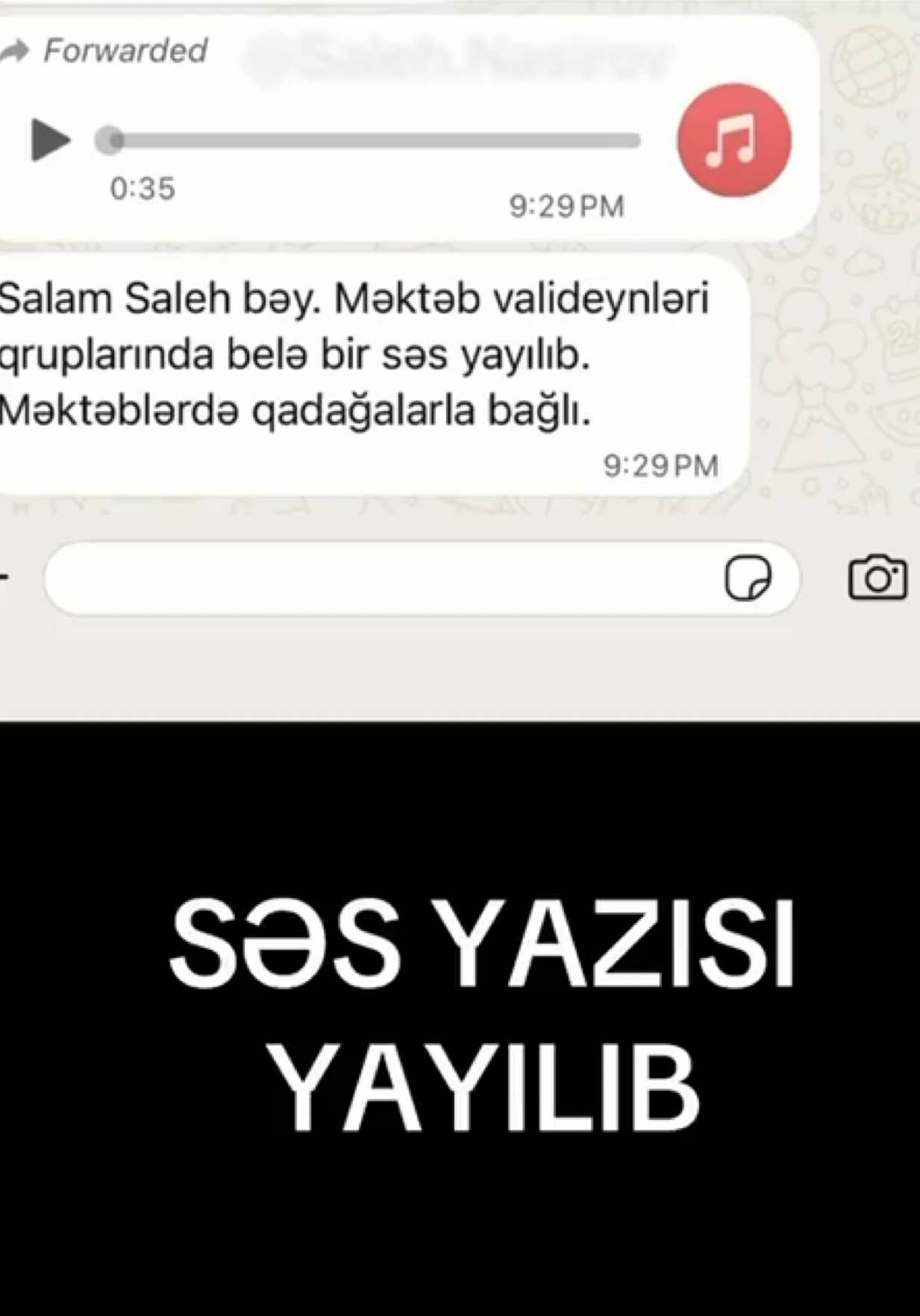 @SALEH▪️NASIROV