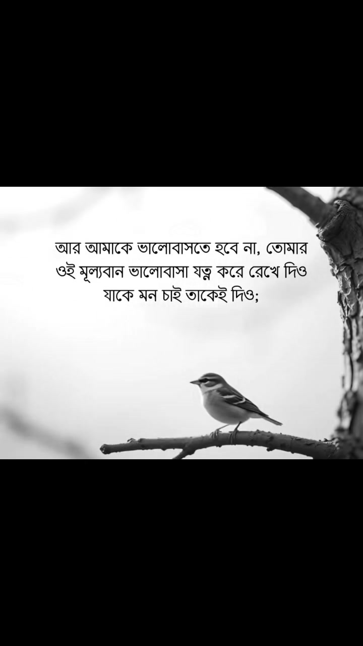 @Sadia Akhter Shakila