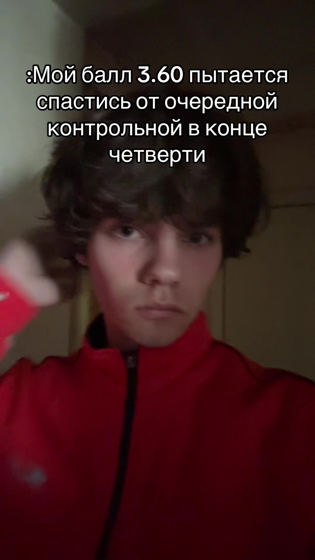 @тгк: Shpon family🗡️