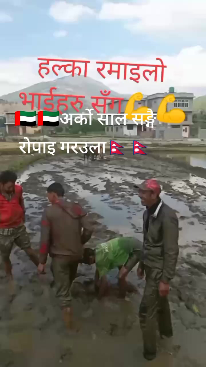 @dalbhadurnepali1