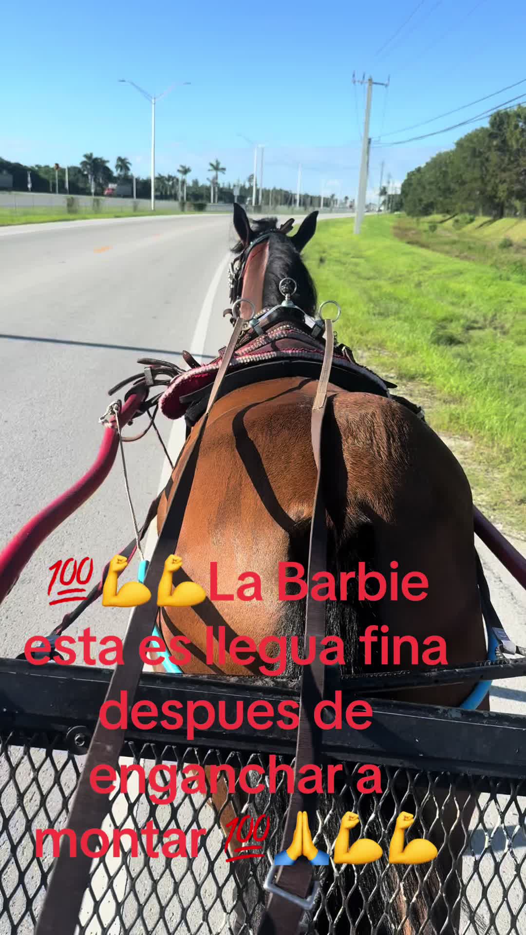 @🔥🔥❤️EL FEO ❤️🔥🔥