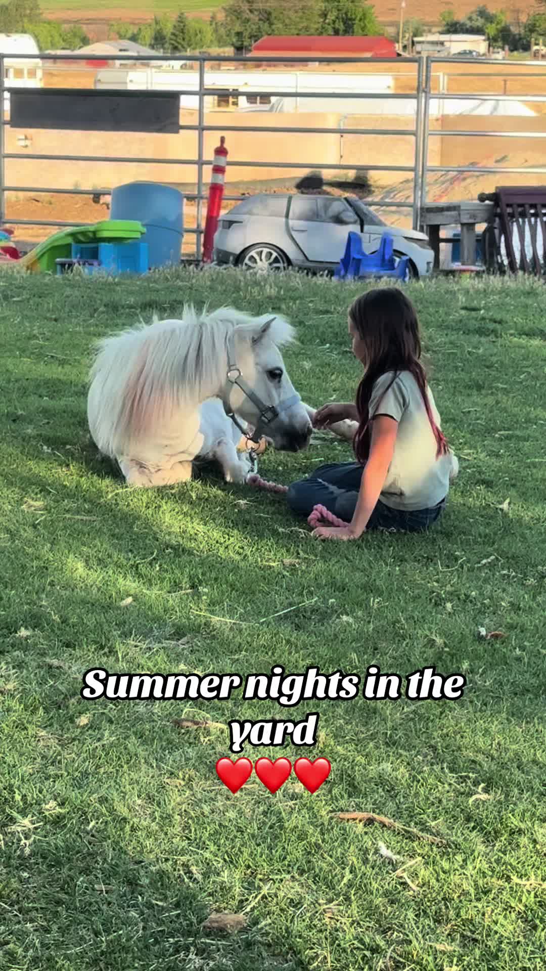 @Hot Sauce the Mini horse 🐎