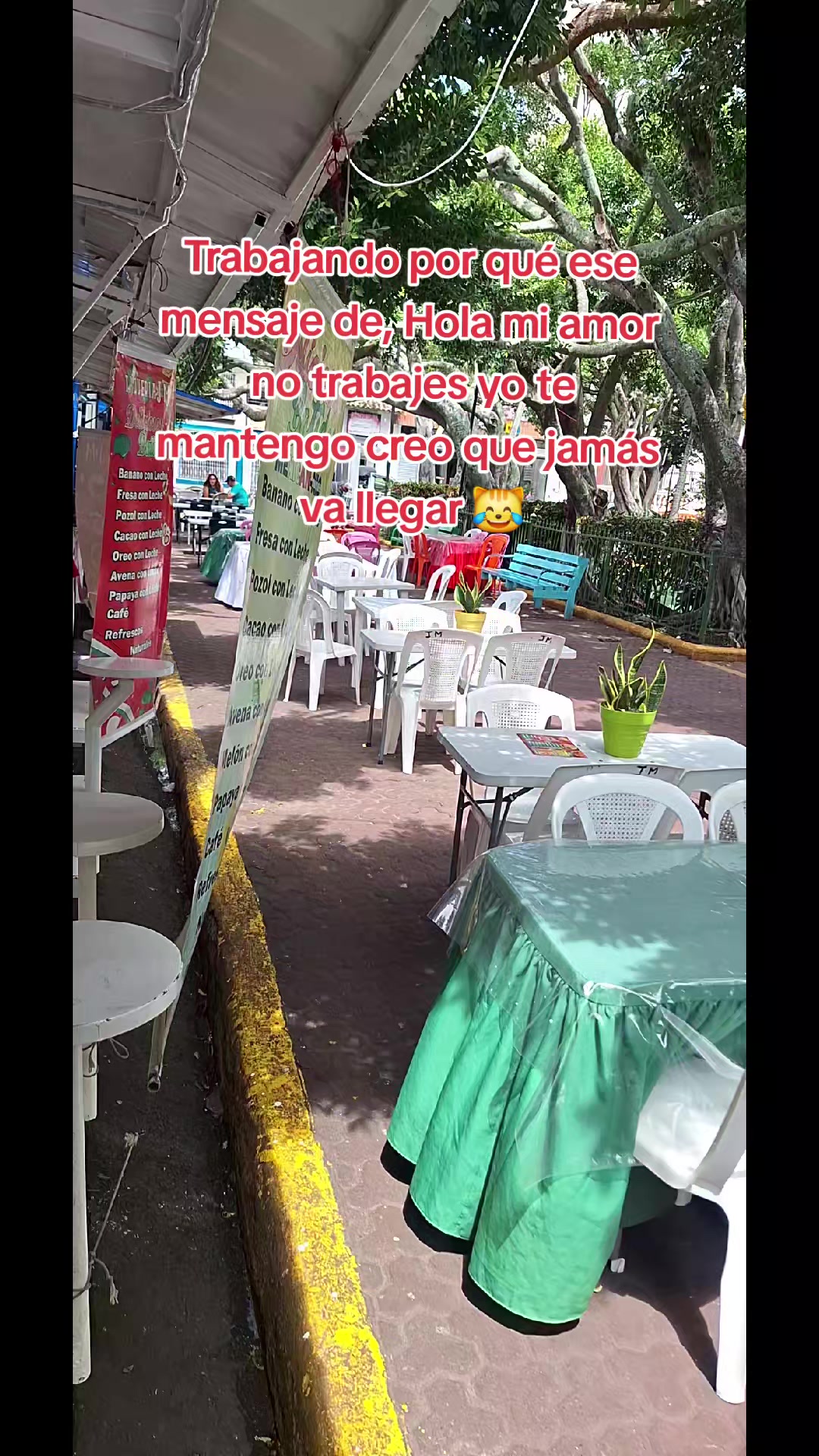 @Massiel .🌵.