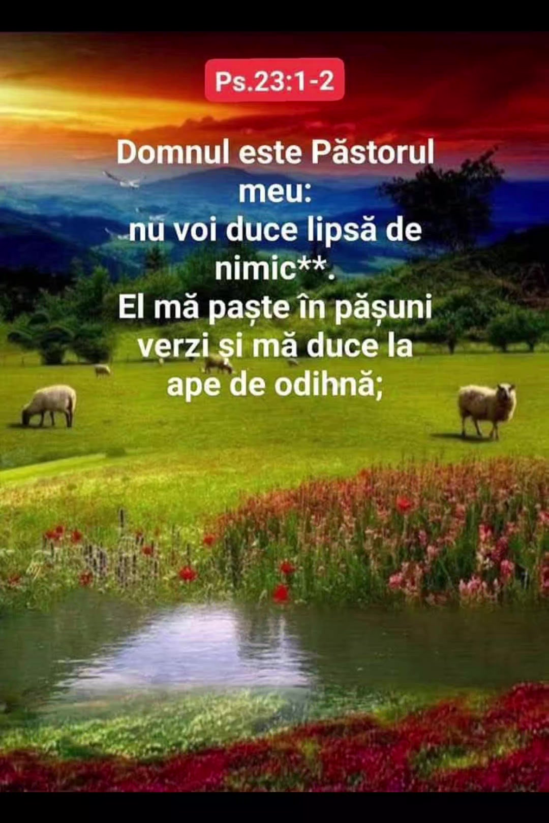 @milana