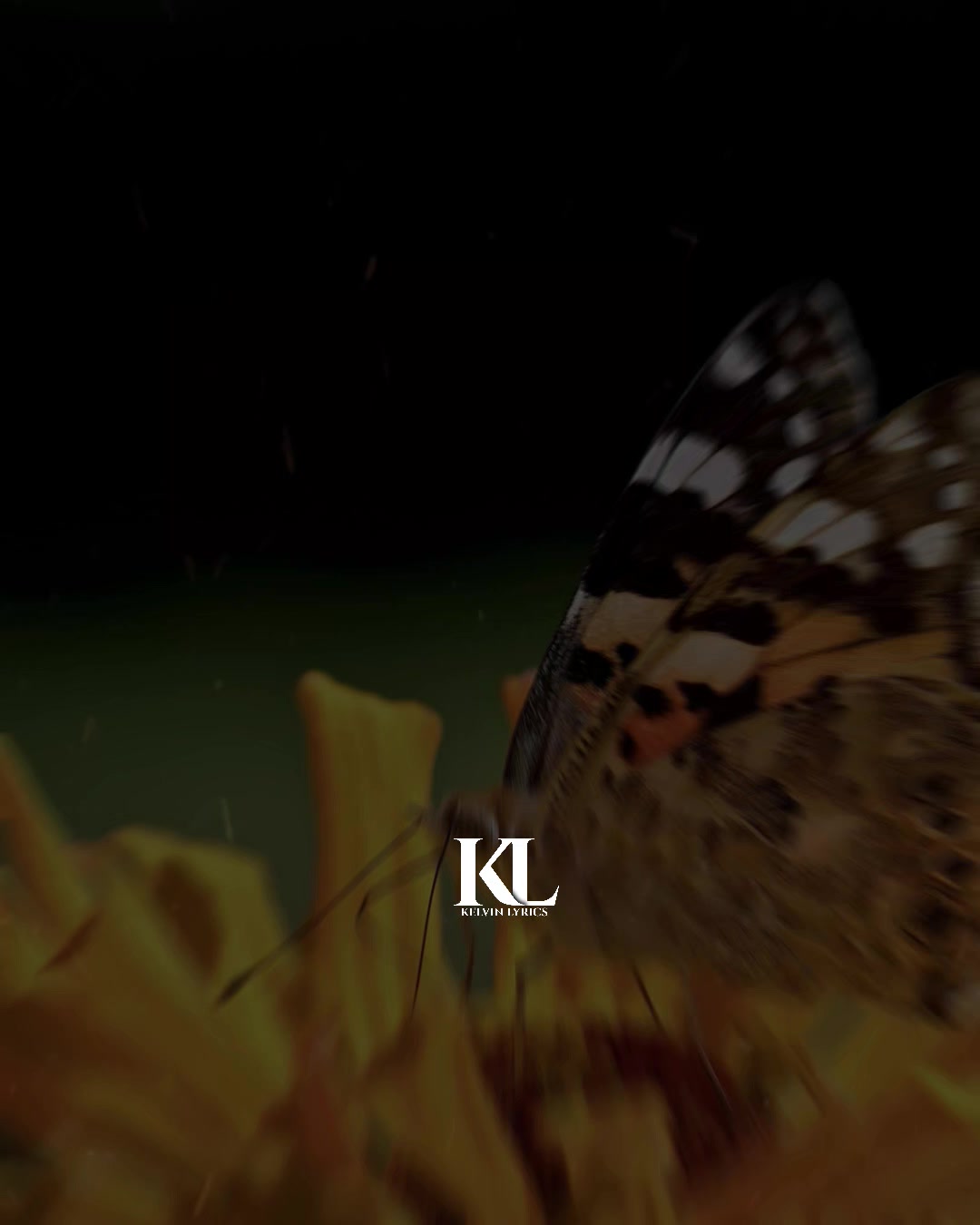 @๐๐๐๐ ๐๐
๐๐๐๐๐๐