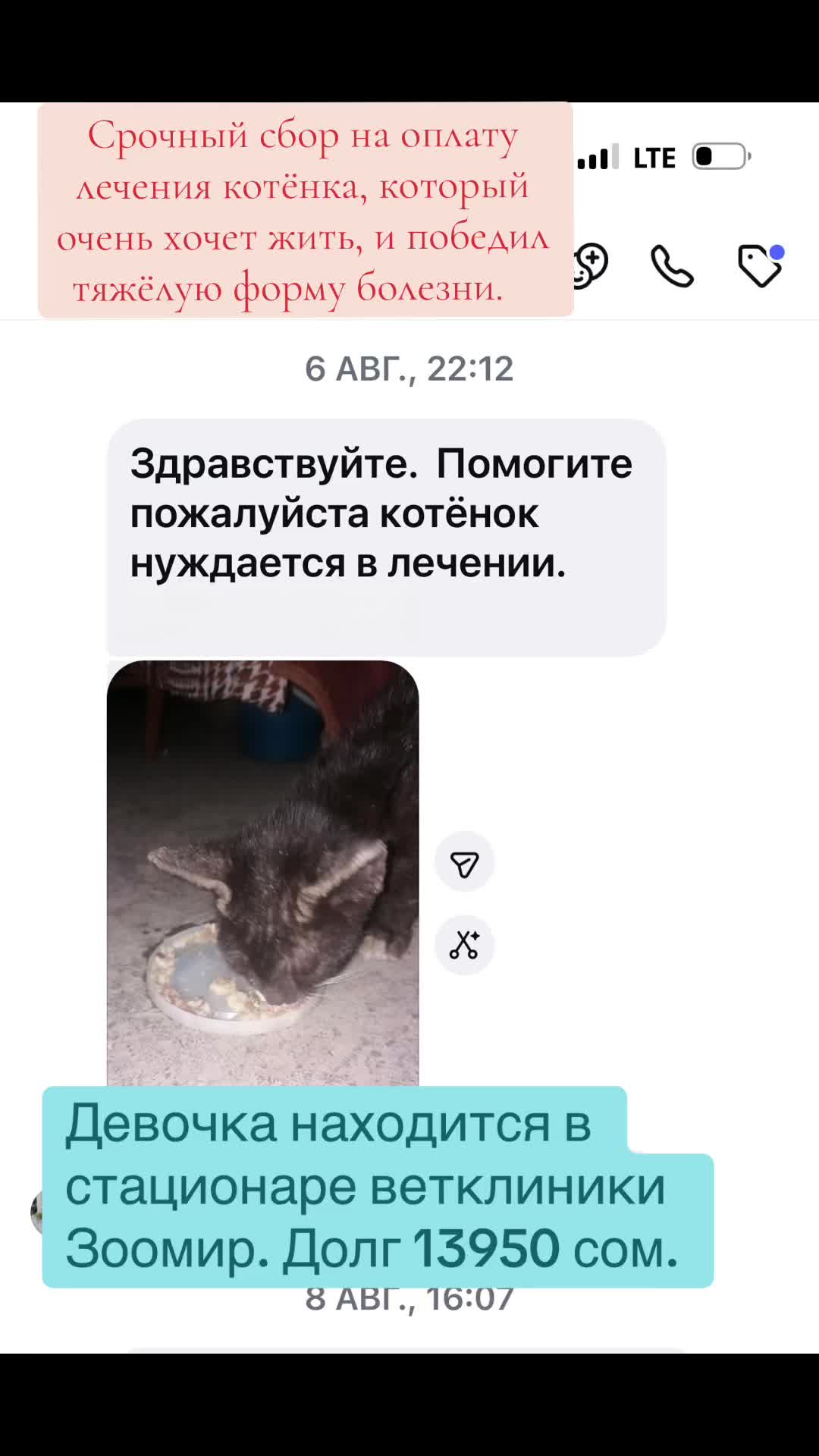 @Приют Ковчег Кыргызстан