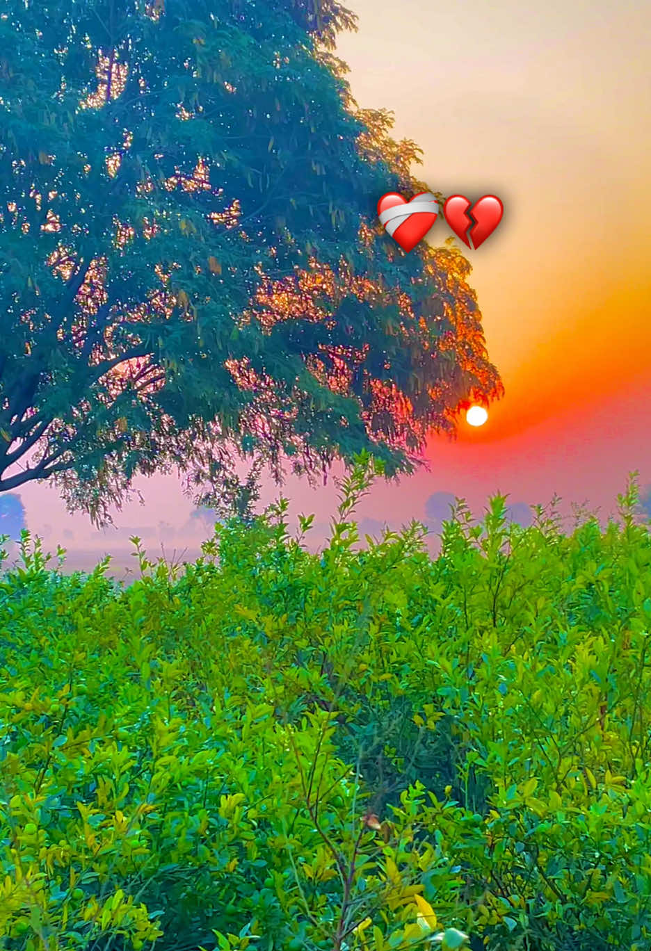 @😎اویس راجپوت🕊️❤️🔥