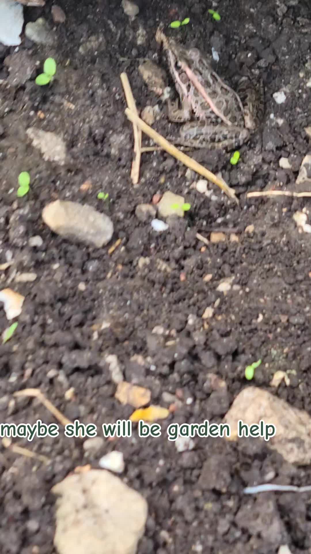 @TheNakedPlantLadyLLC