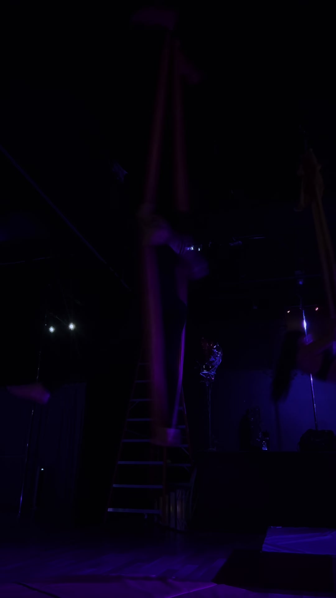 @Kobra🌛🦇