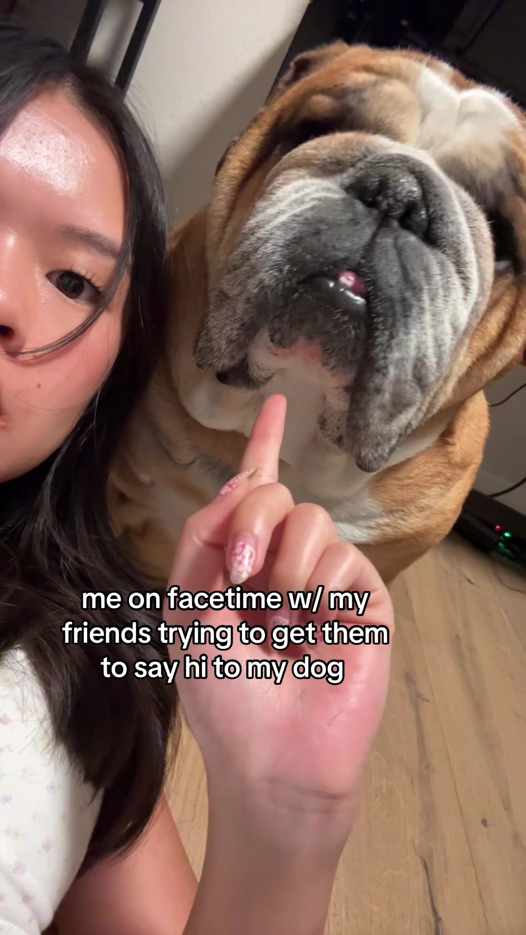@Reggie the Bulldog
