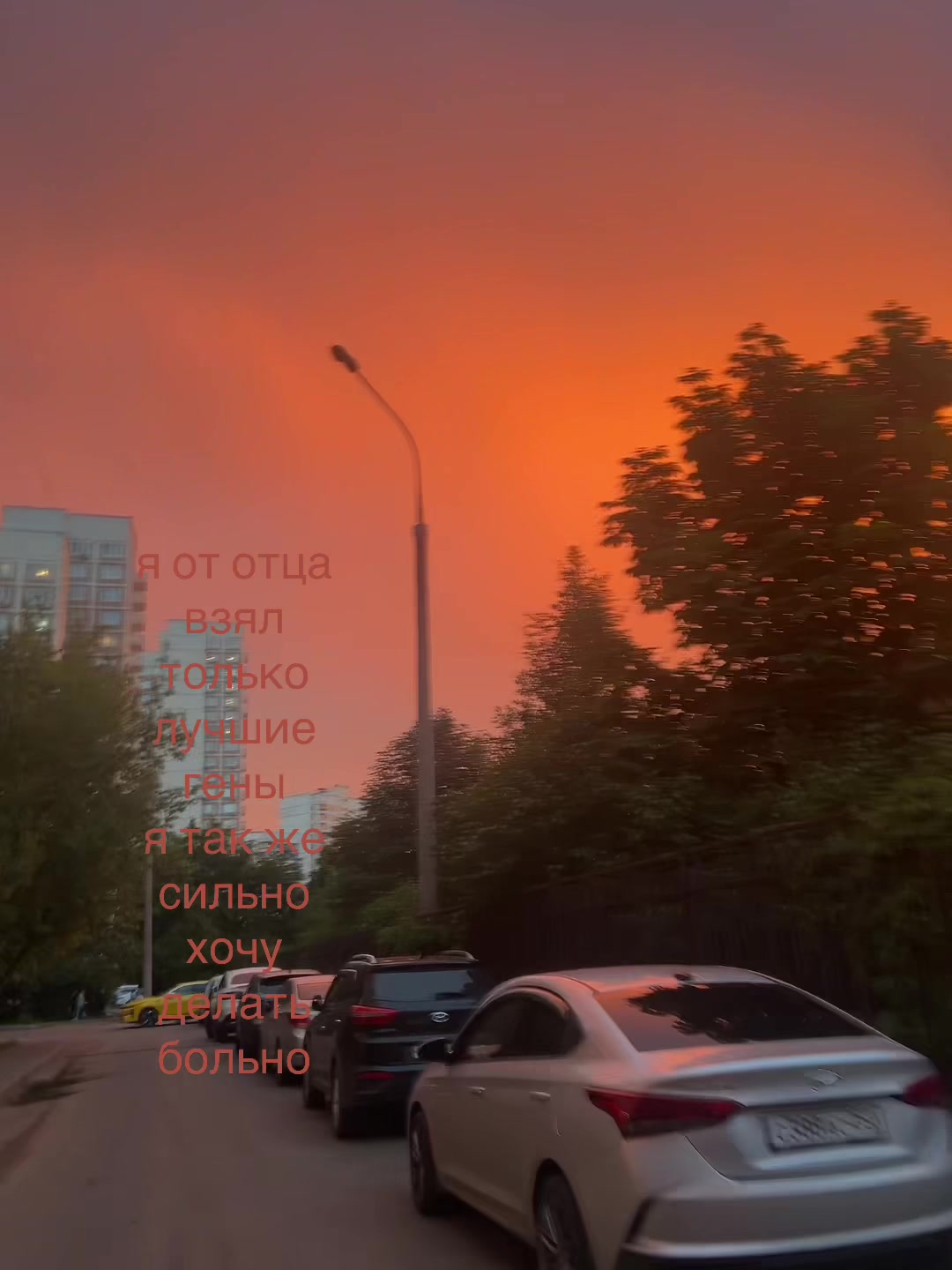 @blessed 7\