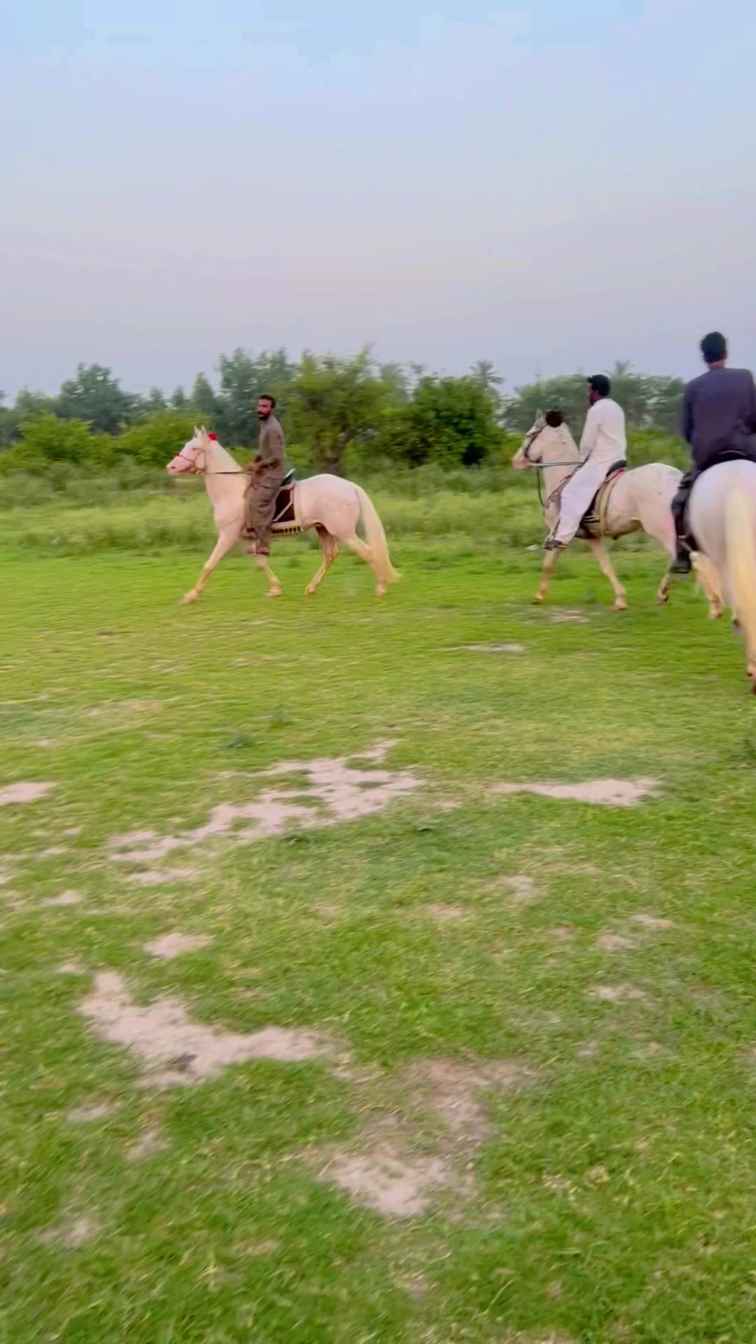 @Rai Asif Hayat khayalika