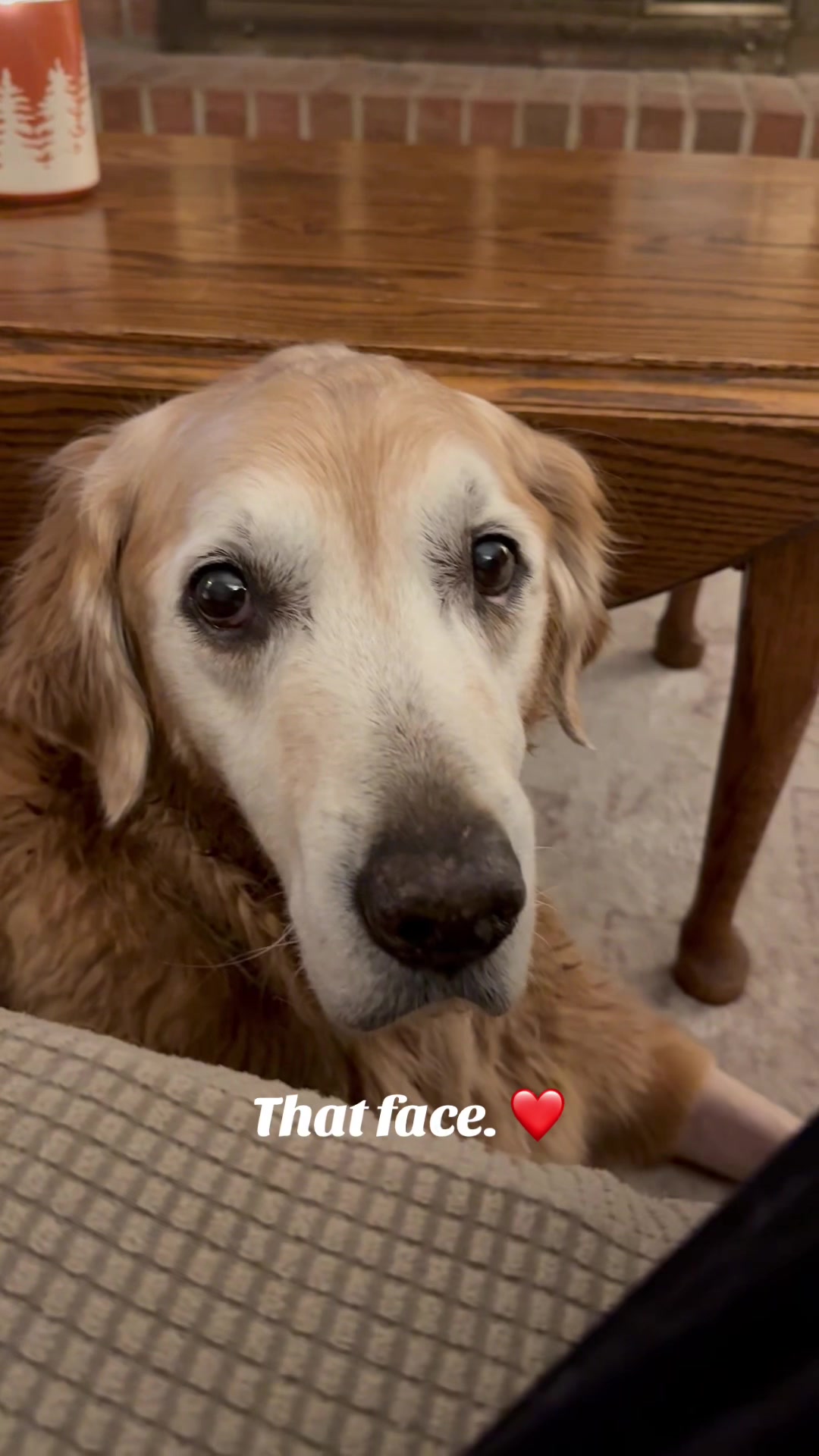 @lifewithduke2025
