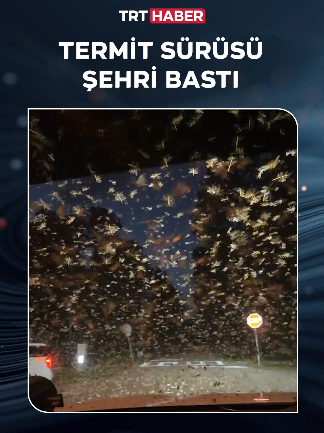 @TRT Haber
