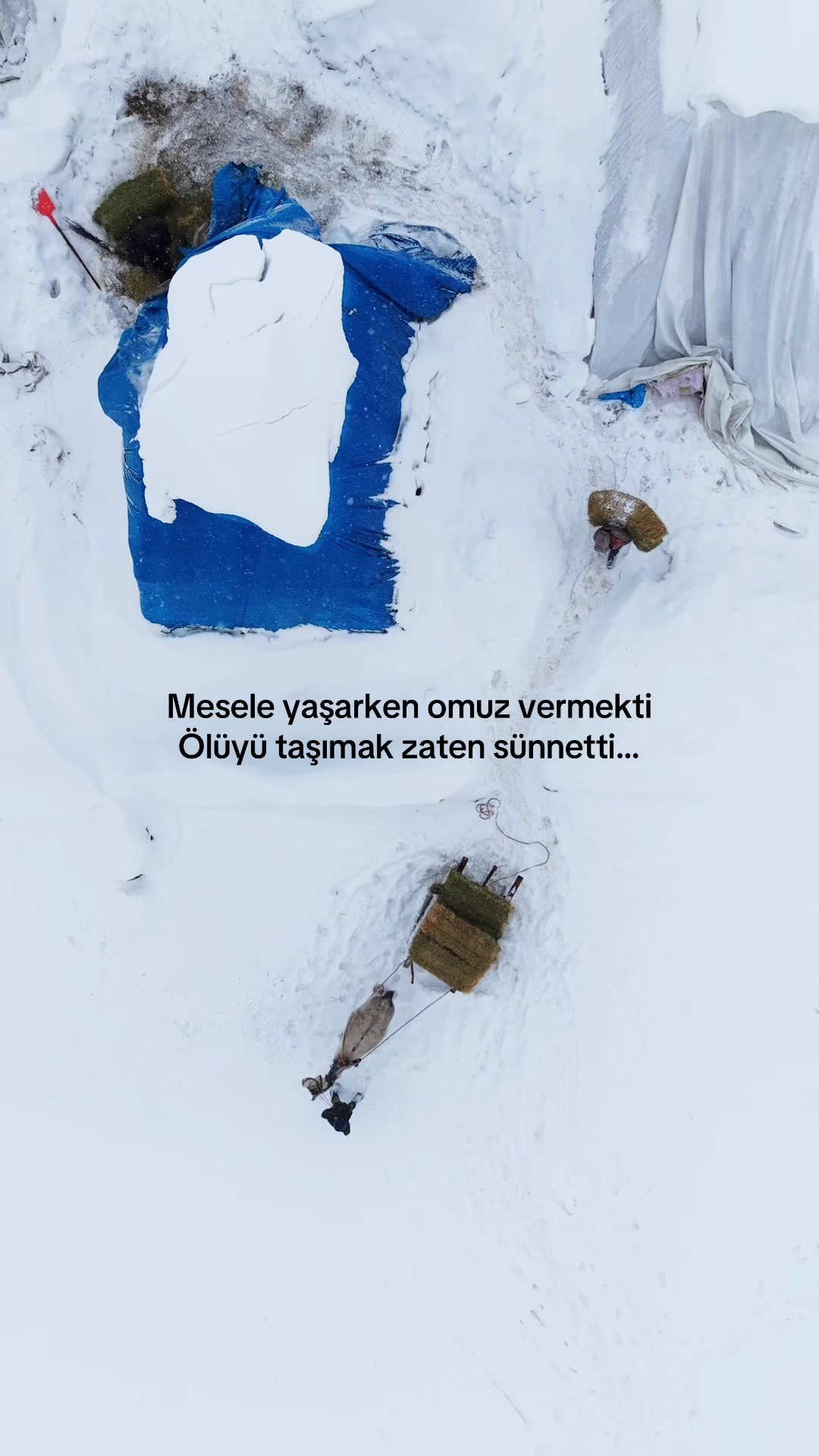 @Elif Meva Demir