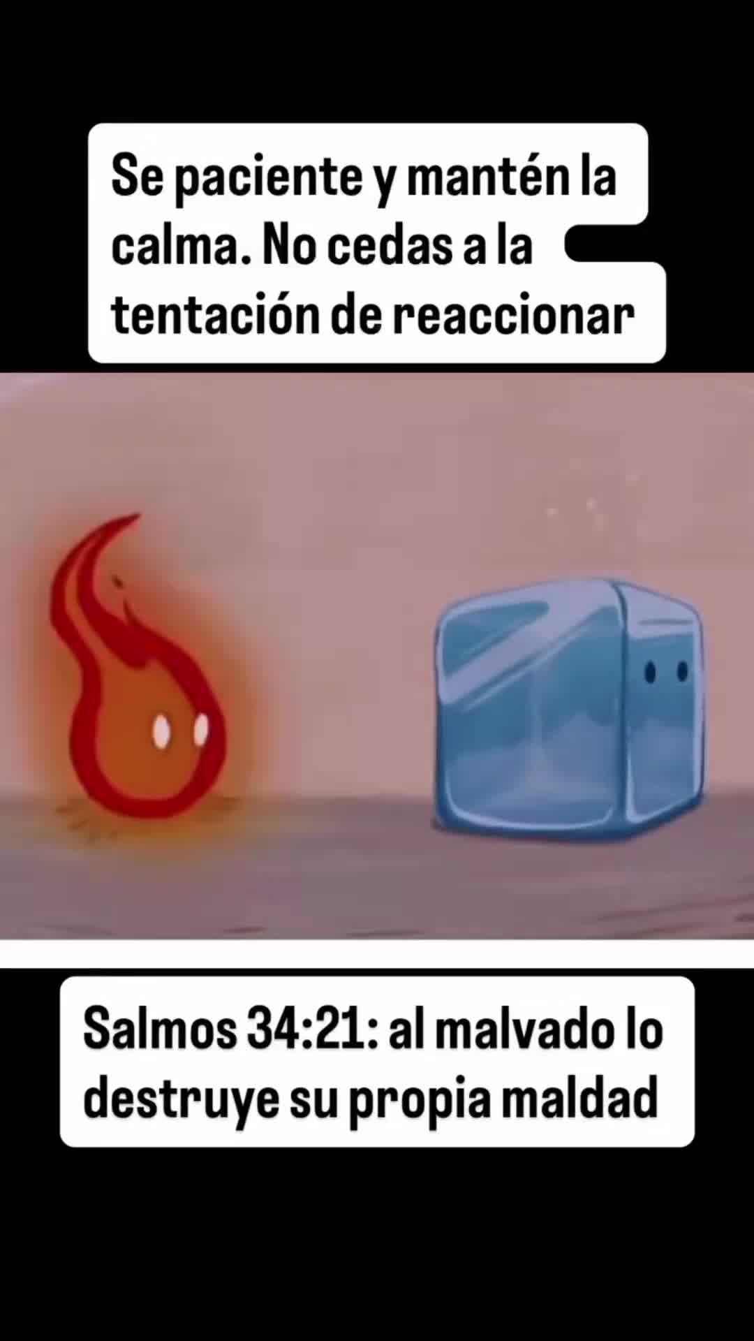 @Alexander✅️