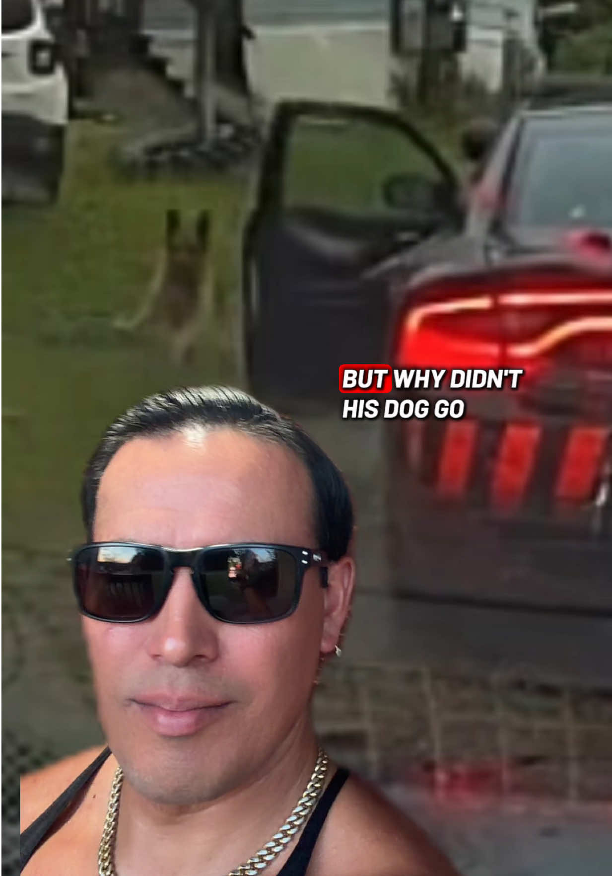 @🪶TheN8tiveDogfather🐾