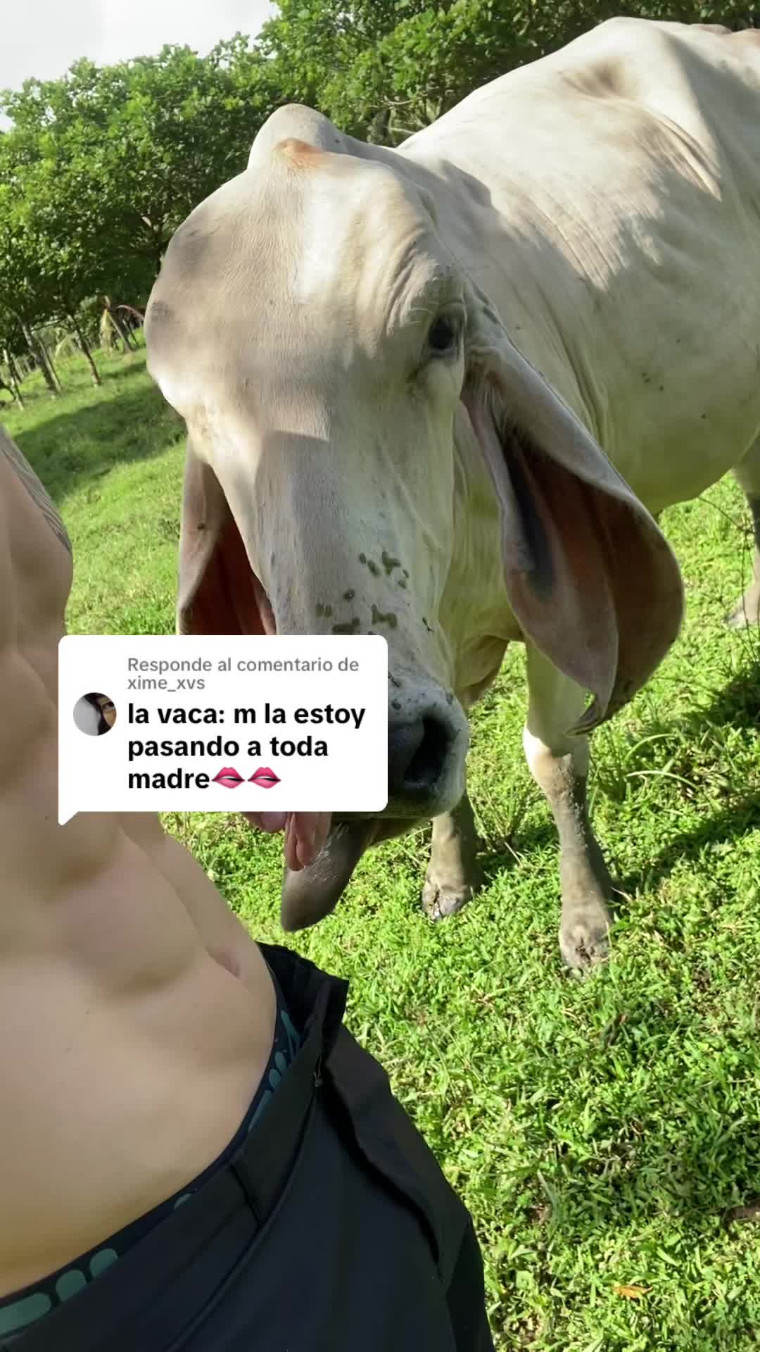 @Ney Jiménez