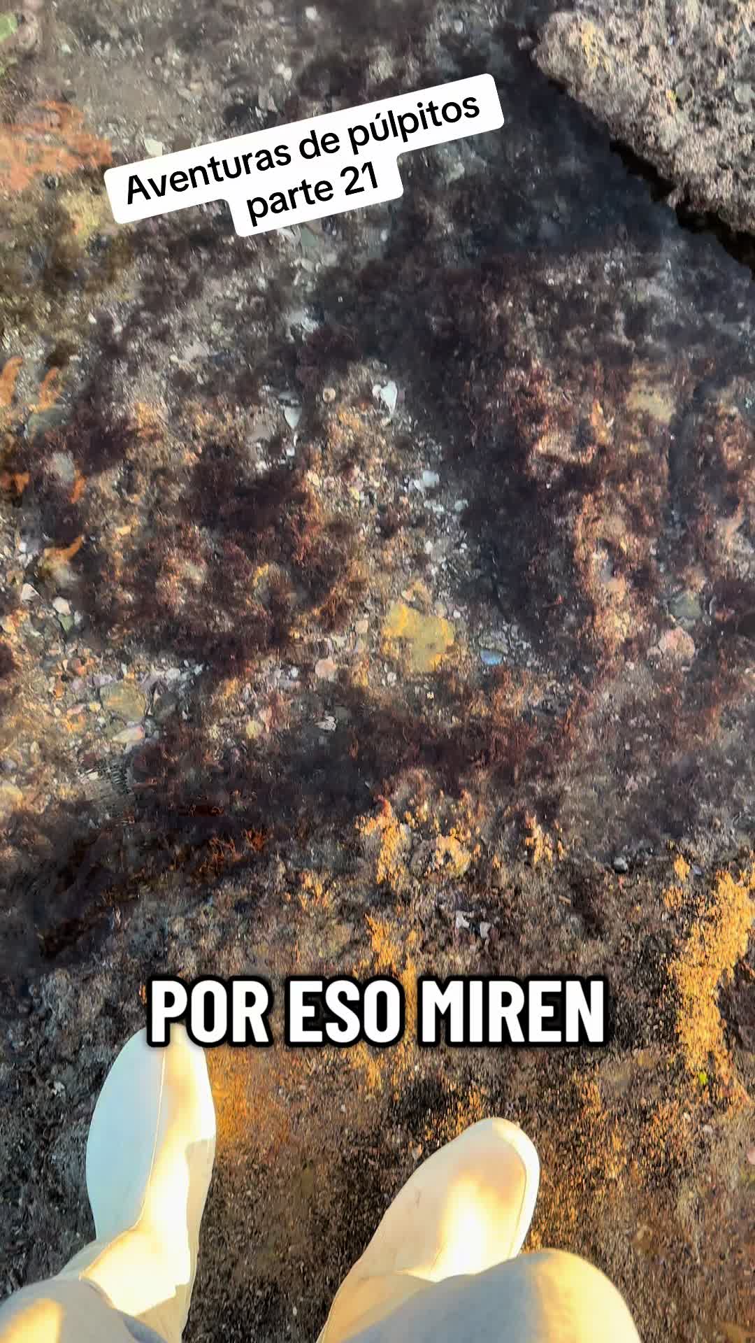 @El flaco