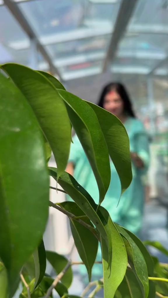 @manishatiwari6665