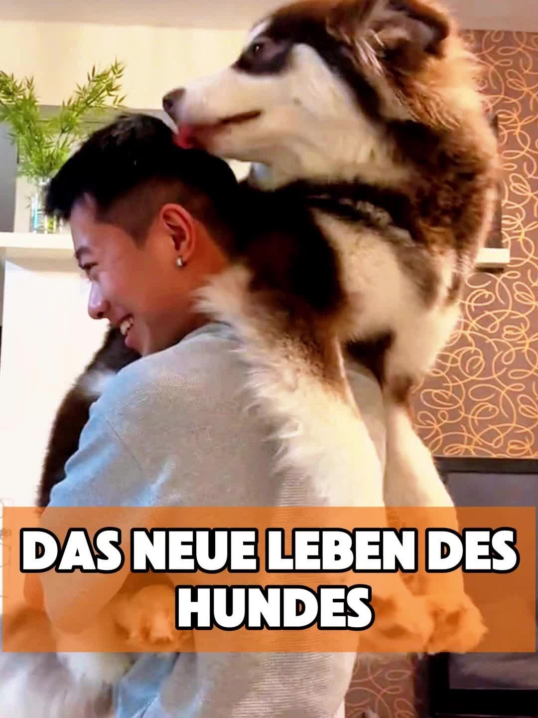 @toto_tier