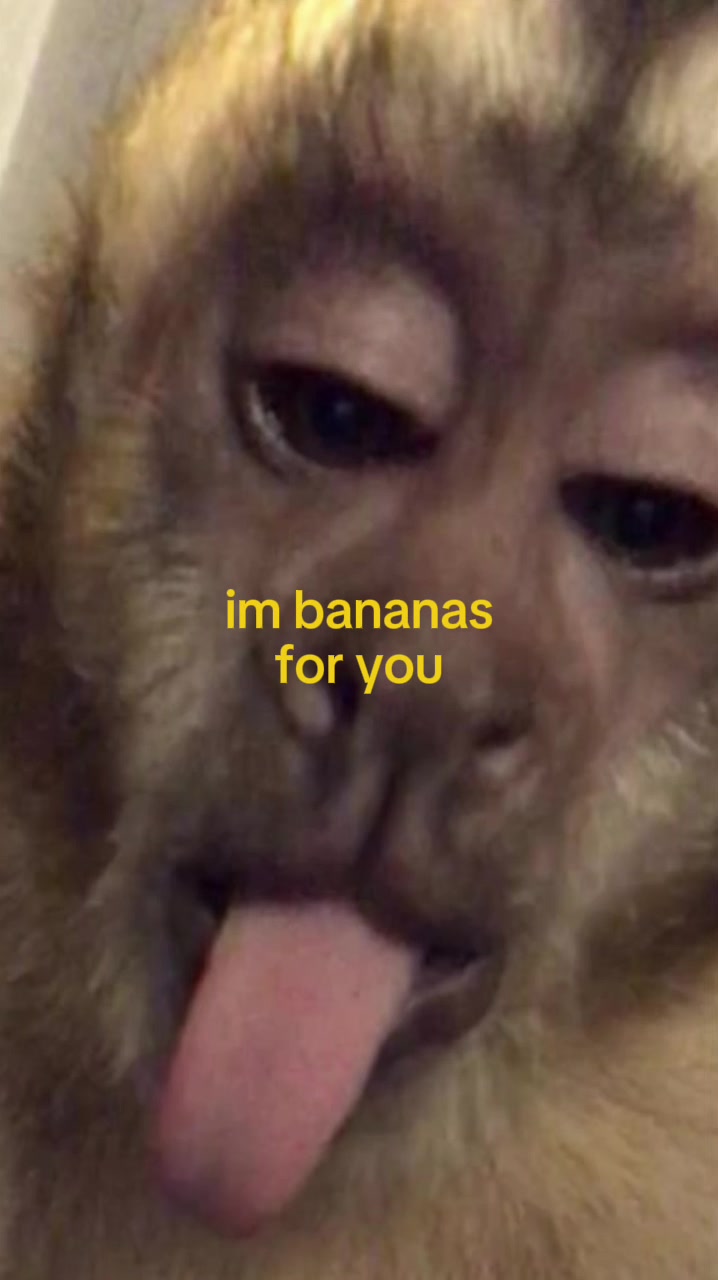 @Doug funny