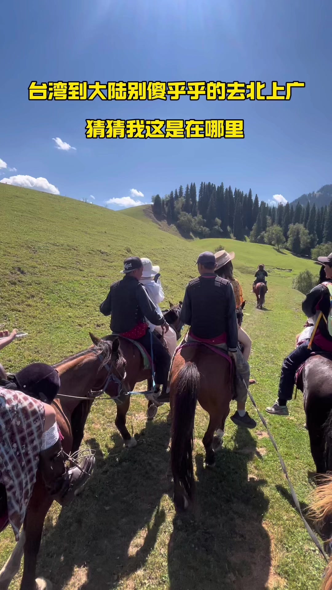 @龍弟建材嚴選