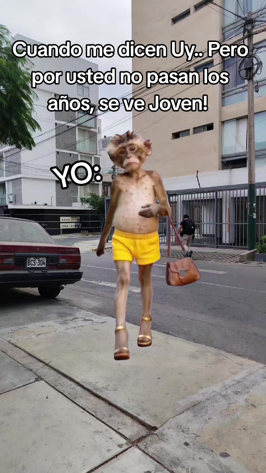 @Susan_Pereyra