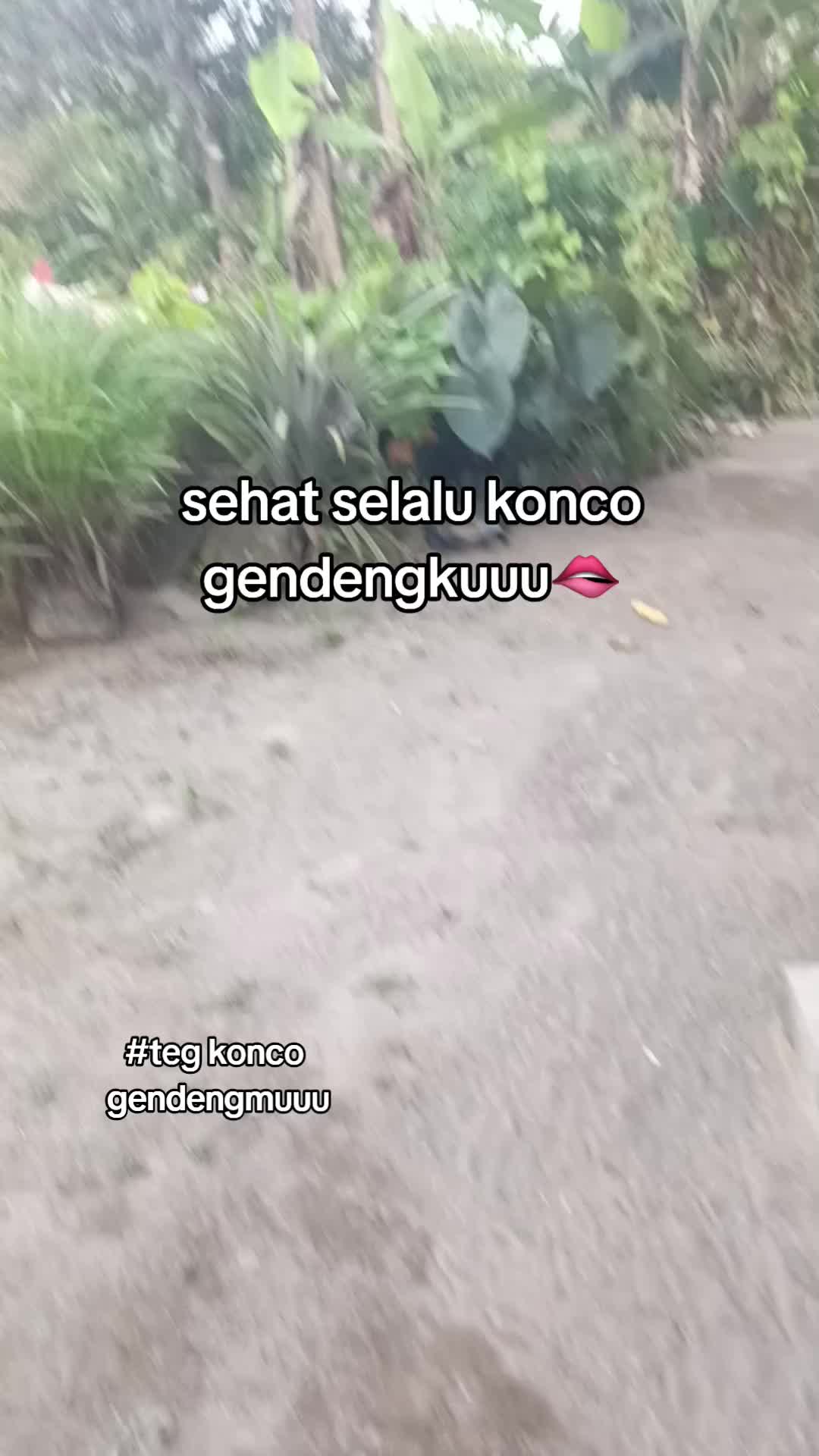 @IG @4dzxx²⁶⁰