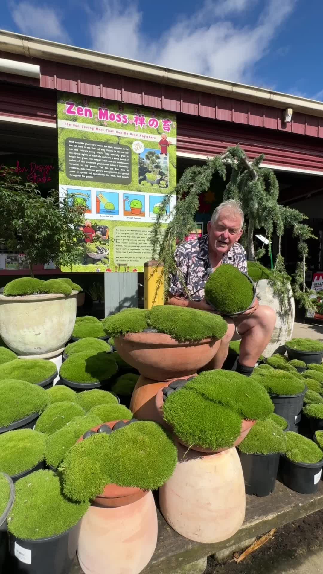 @Hello Hello Plants Nursery
