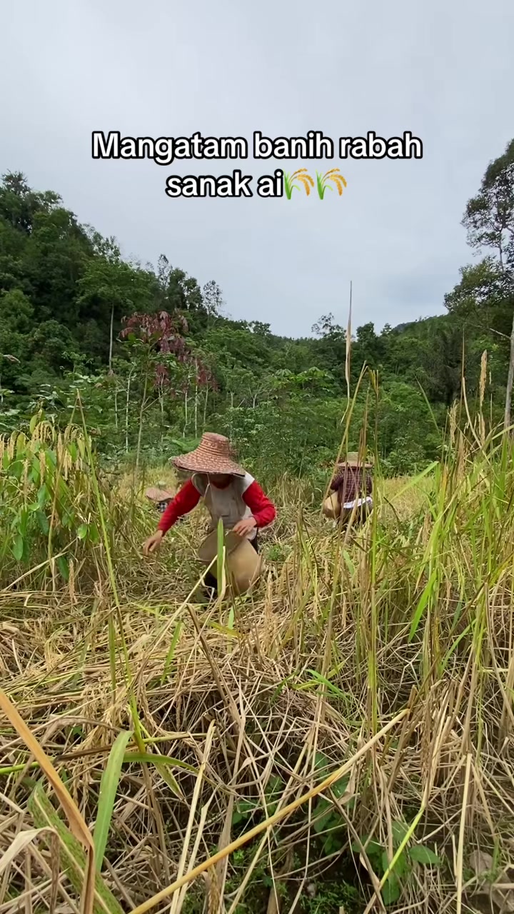 @ORANG TAKAHIGA✅