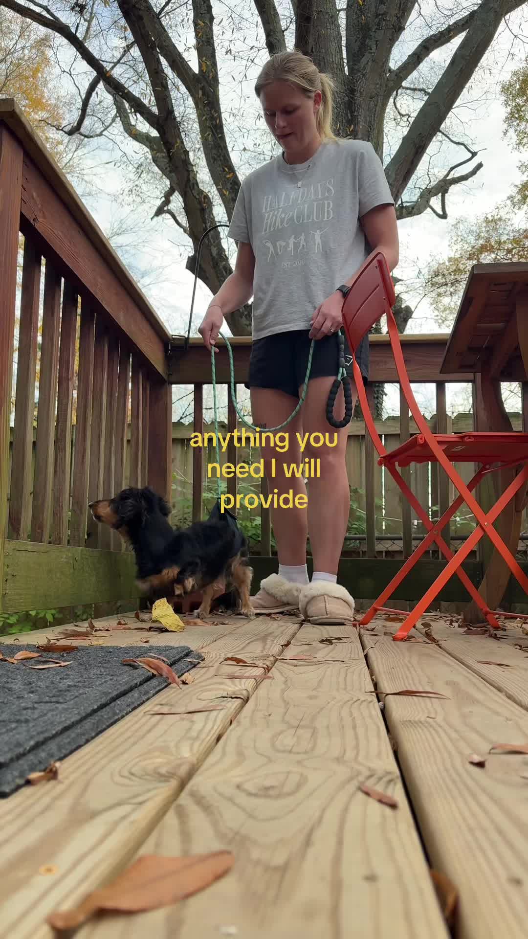 @Henry the mini dachshund