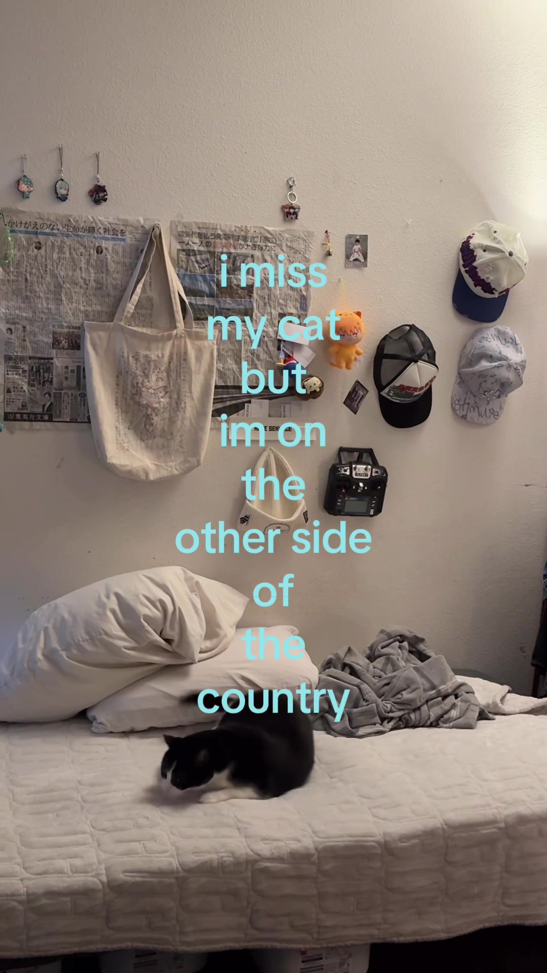 @benz asi