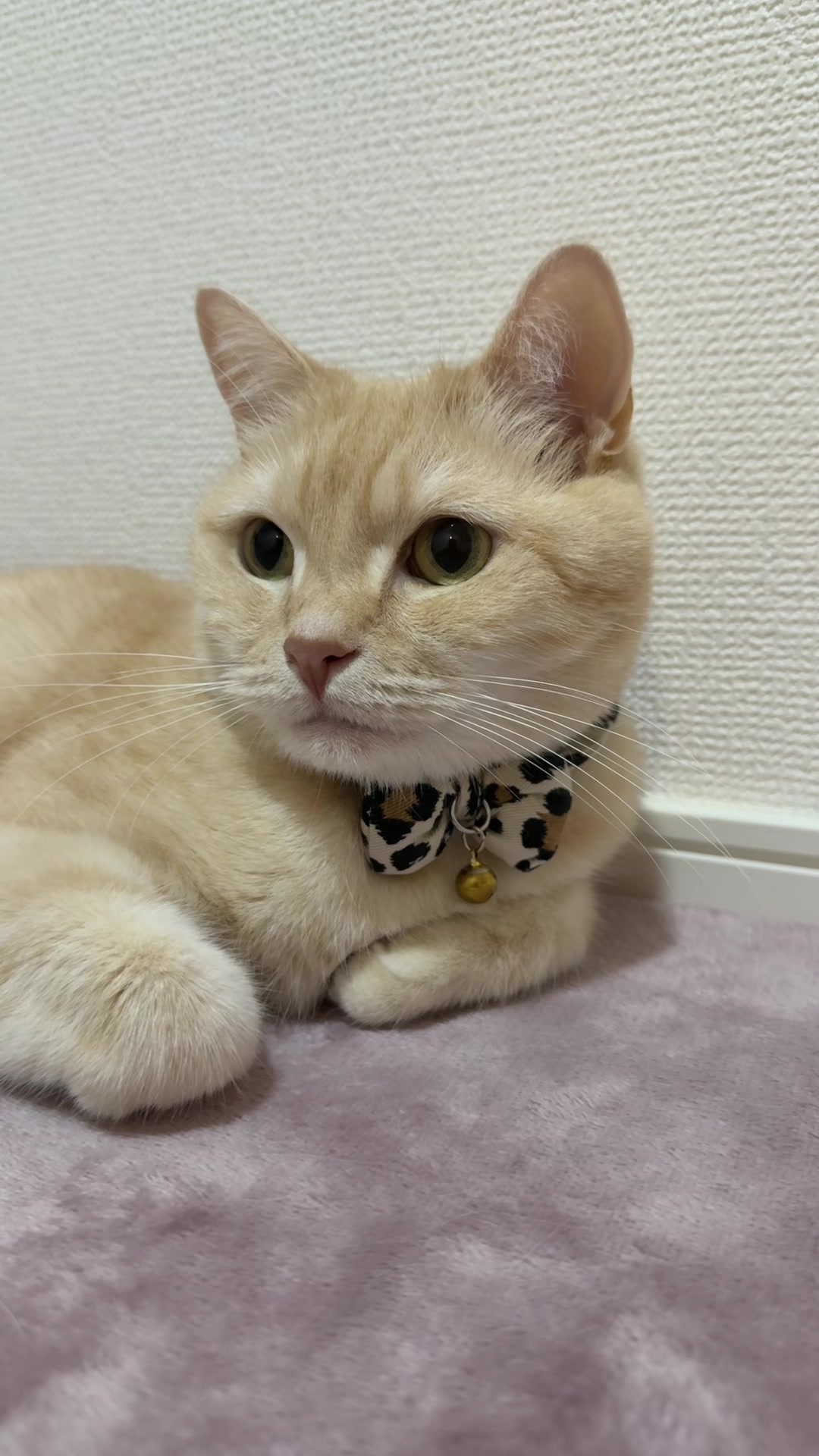 @どこかのだれか