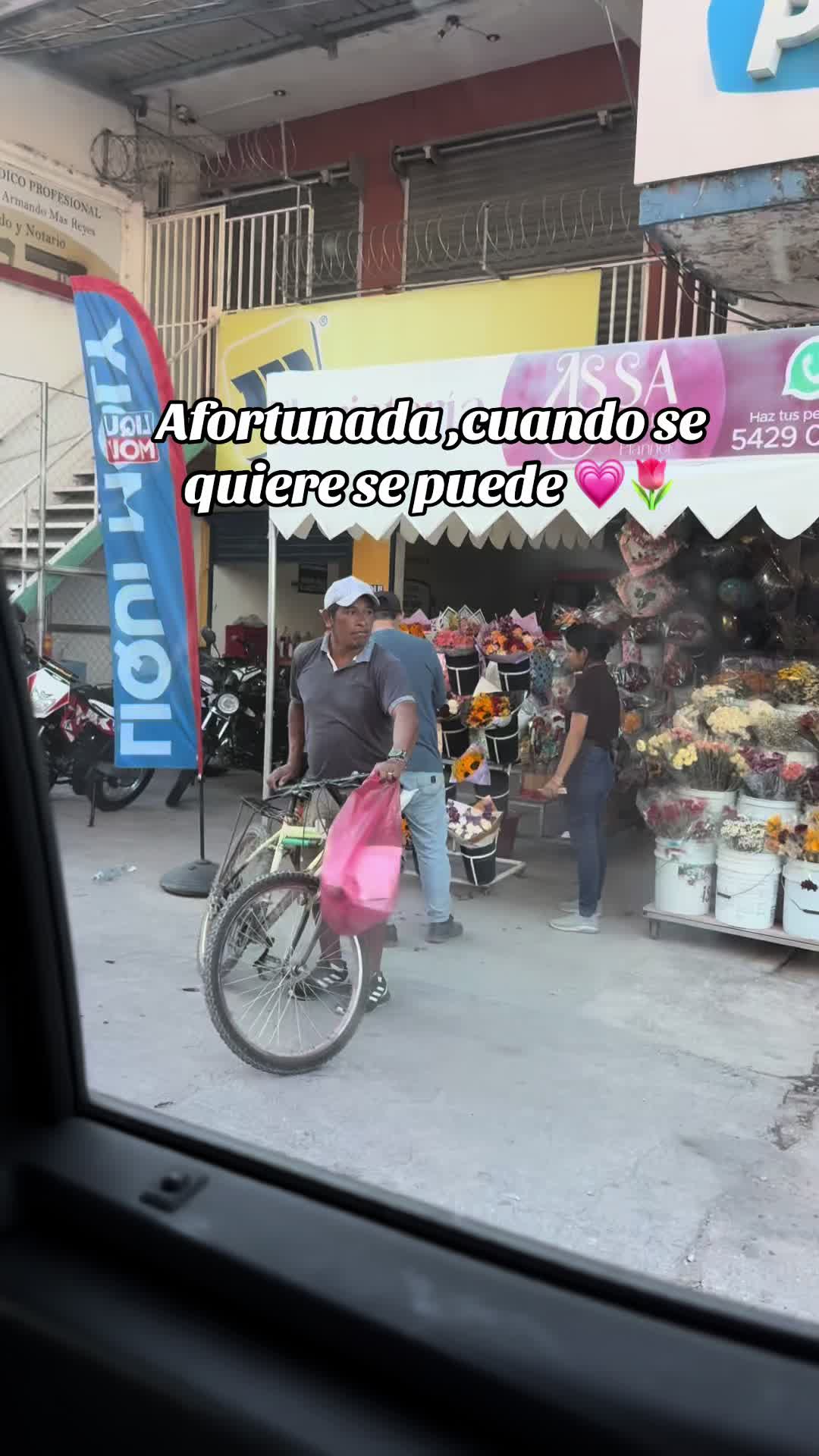 @Lisi 🦕