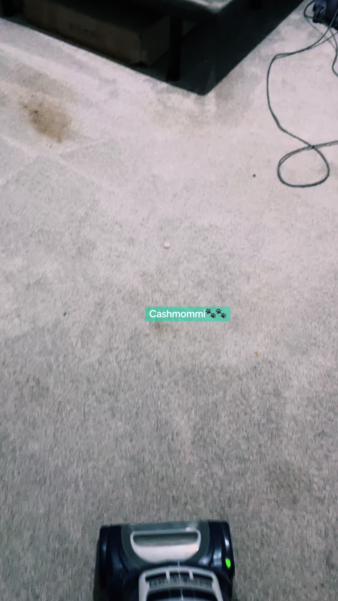 @CashmommiVacs