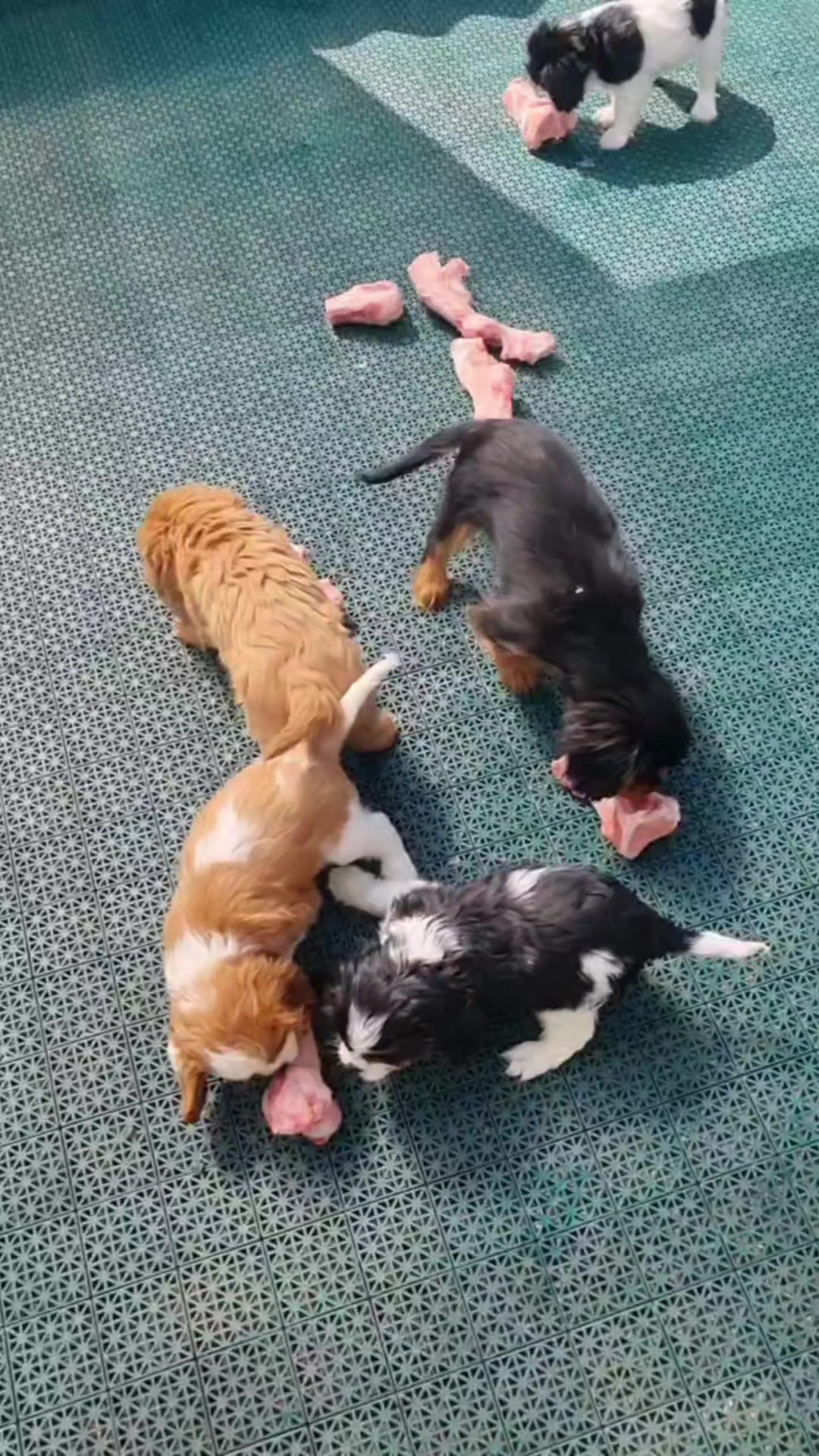@Виктория