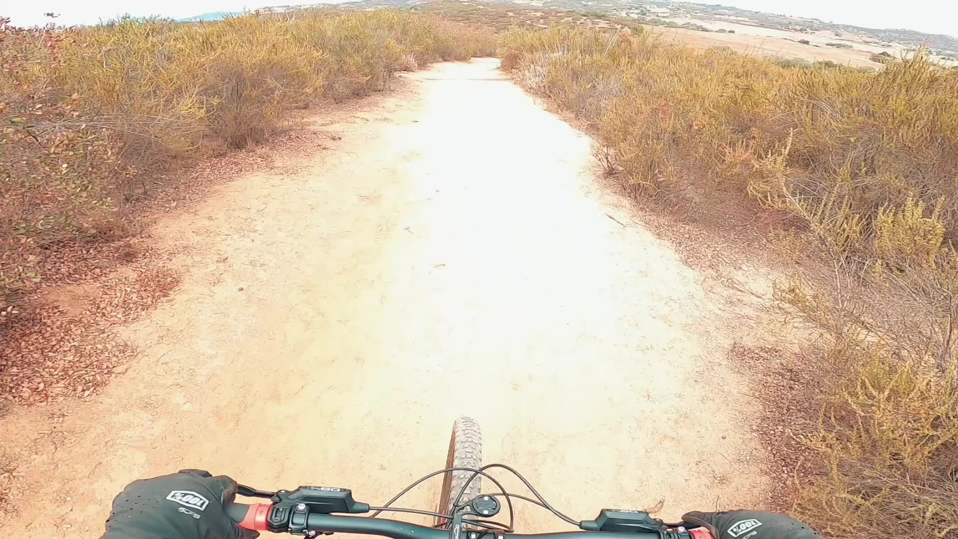 @Roman🏎️🌪️🚲