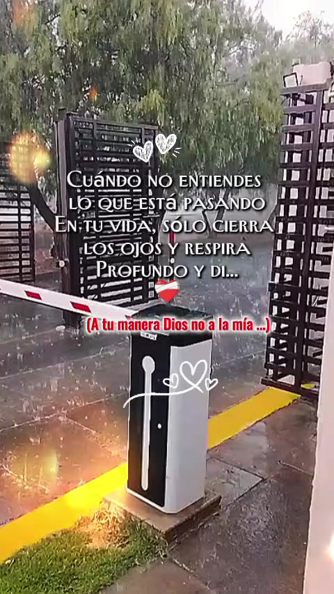 @🩷🌷Chatisss🩷🌷