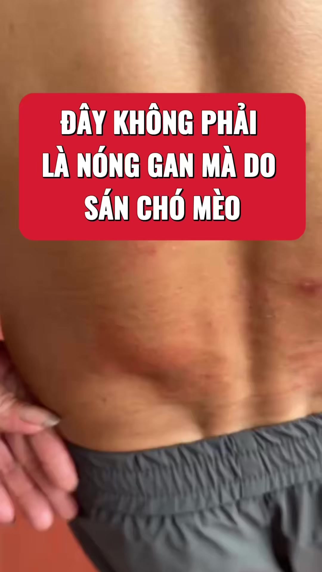 @suckhoevang98