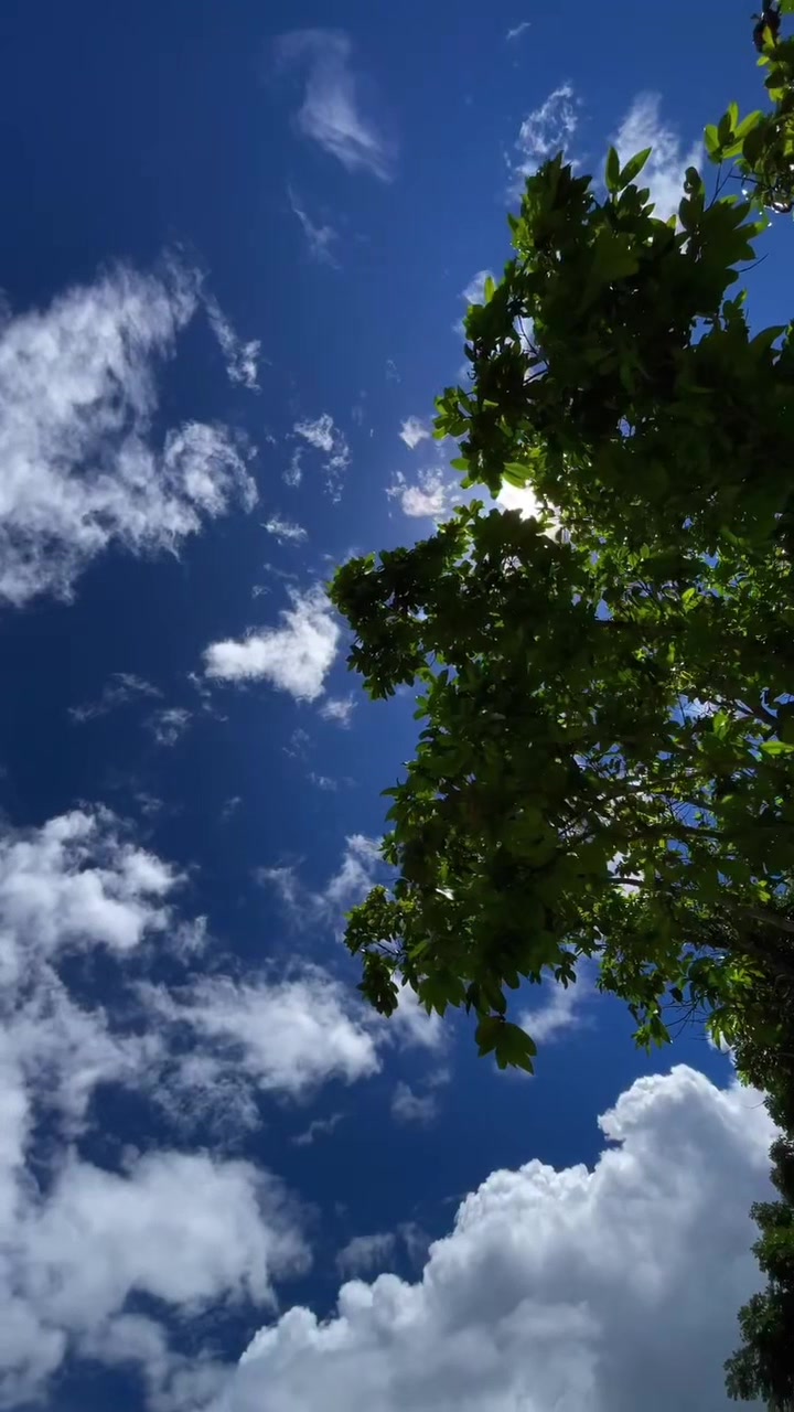 @Oqilbek_k