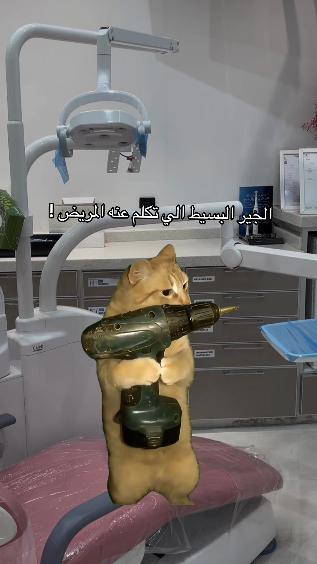 @د.لجين