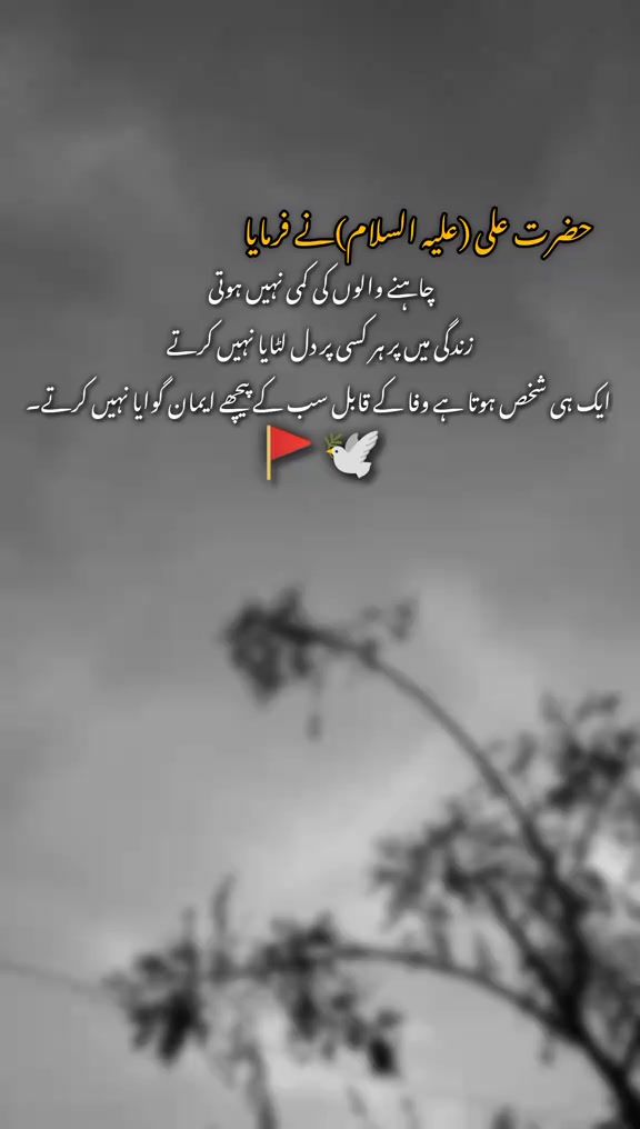 @ASADBABA 🫀