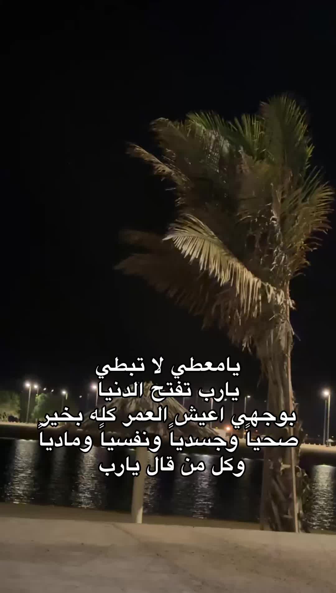 @Abeer Saim Al-Dahr🕊️