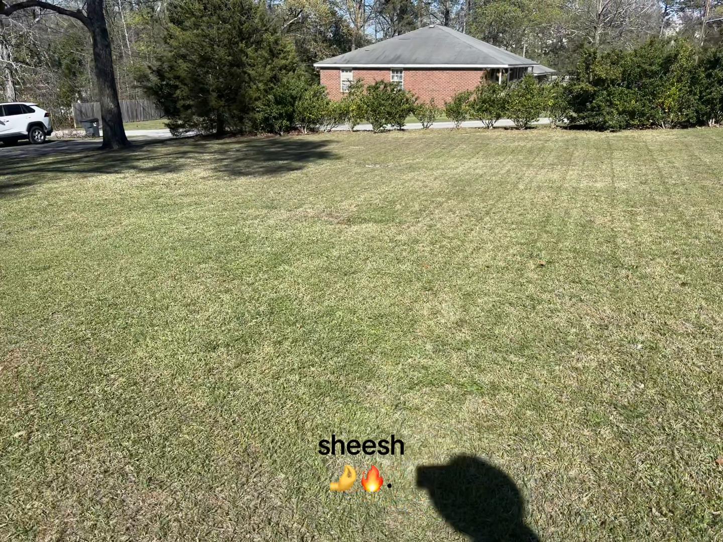 @LawnDepartment